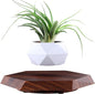 Magnetic Levitating Flower Pot