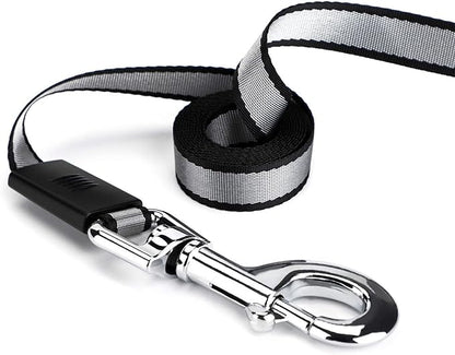 Retractable Dog Leash