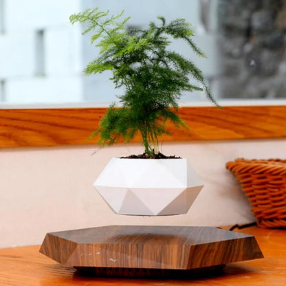 Magnetic Levitating Flower Pot