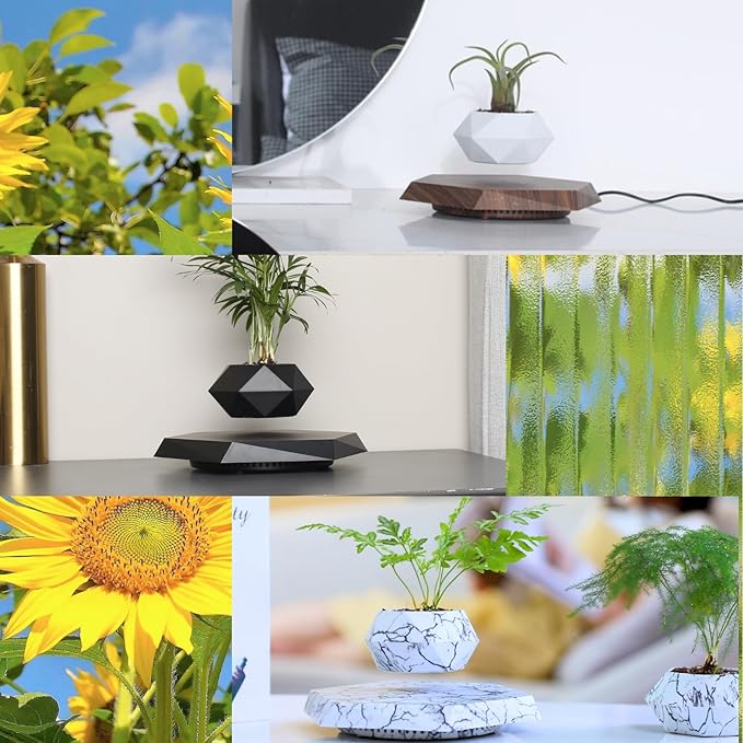 Magnetic Levitating Flower Pot